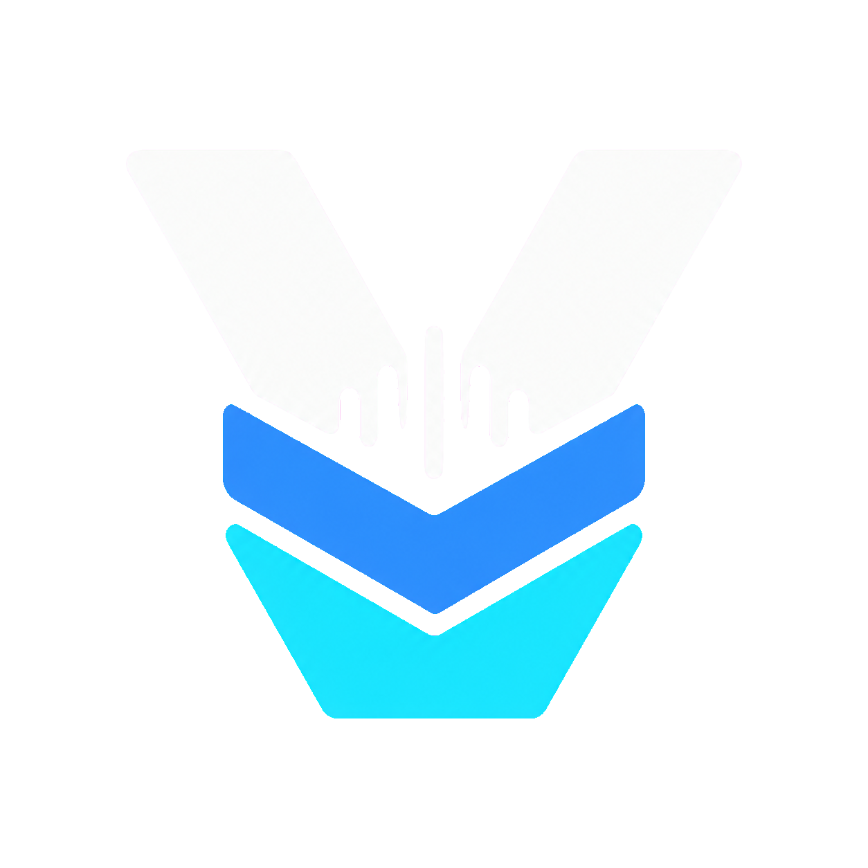 VoxLayer